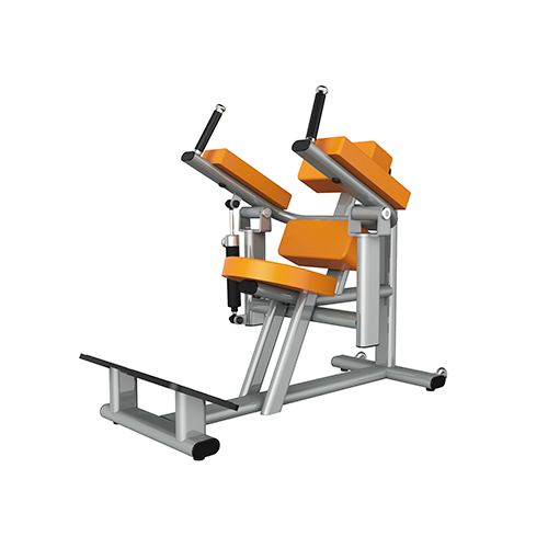 TR800_ABDOMINAL/LOW BACKCommercial Rehab gym machine,, Triumph Fitness LLC